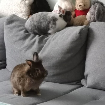 2018 12 Klara zuhause gefunden 1