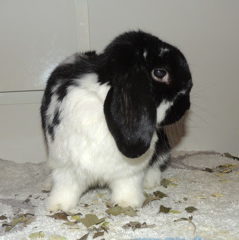 2018 12 Lauren 1 Kopie