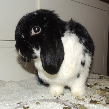 2018 12 Lauren 2 Kopie