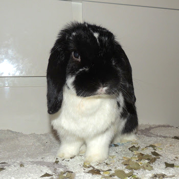 2018 12 Lauren 3 Kopie