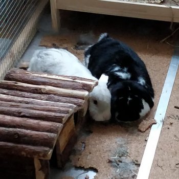 2019 02 Lauren zuhause gefunden 1