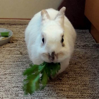 2018 10 Miss Cissi 2