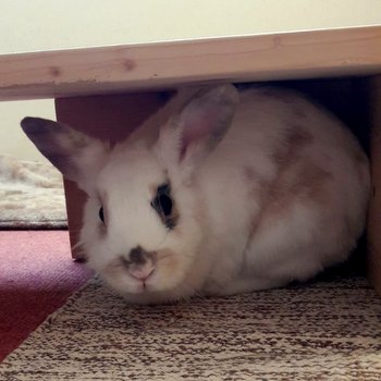 2018 10 Miss Cissi 3