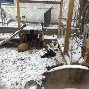 Star zuhause gefunden 2