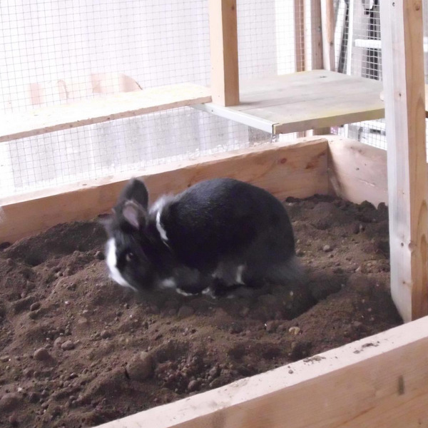 Stella zuhause gefunden 2