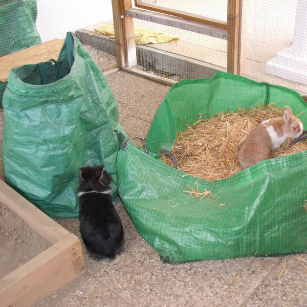 Stella zuhause gefunden 4