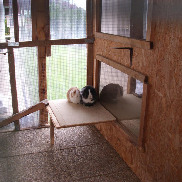 Stella zuhause gefunden 5