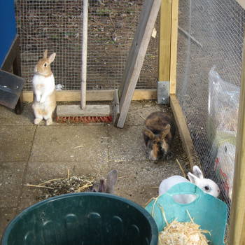 Tabit zuhause gefunden 1