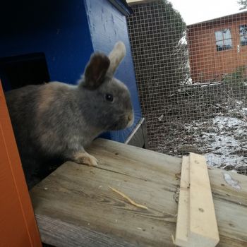 Tania zuhause gefunden 3