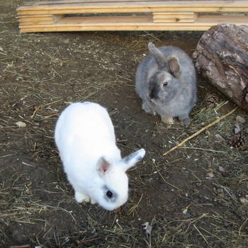 Tania zuhause gefunden 4