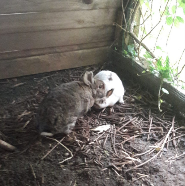 2018 06 Valeria zuhause gefunden 1