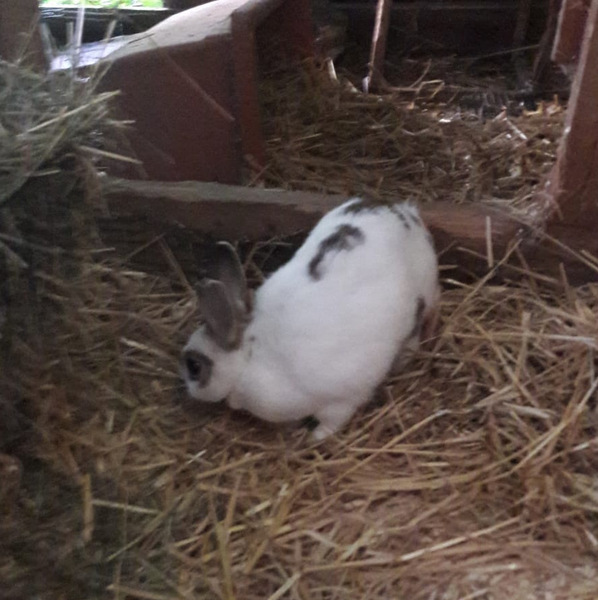 2018 06 Valeria zuhause gefunden 4