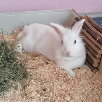 2019 04 Elsa zuhause gefunden 2