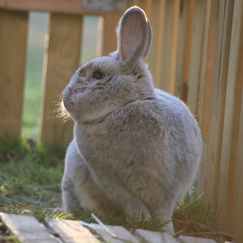 2019 03 Schneewittchen 2