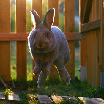 2019 03 Schneewittchen 3