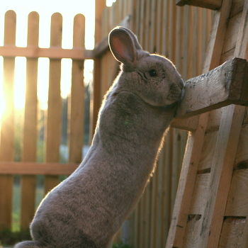 2019 03 Schneewittchen 4