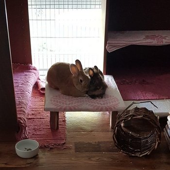 IMG 20220701 WA0012 001