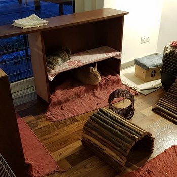 IMG 20220701 WA0035 001