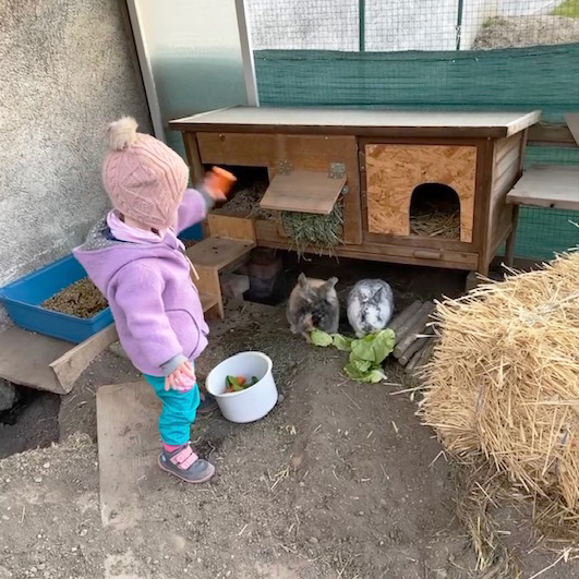 Ambra zuhause 2021 1