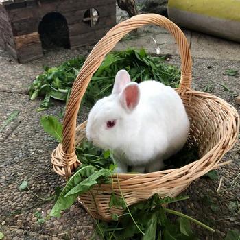 IMG 20220617 WA00001 001