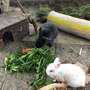 IMG 20220617 WA0003 001