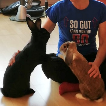 Pepper Fiebi Lucky 001