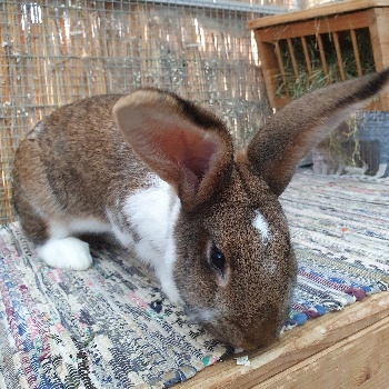 20211208 102008 copy 350x350