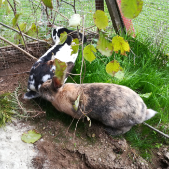 2024 11 Eddine Neues Zuhause 3