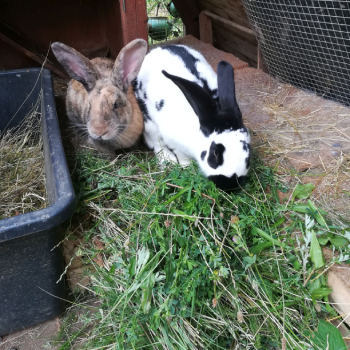 2024 11 Eddine Neues Zuhause 4