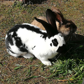 2024 11 Eddine Neues Zuhause 5