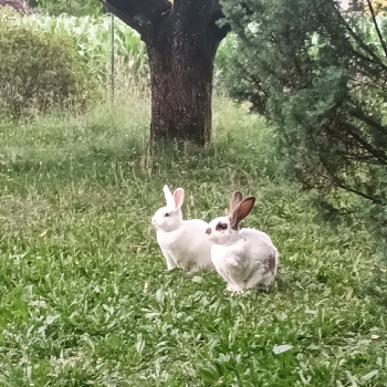 Tamira neues Zuhause 1