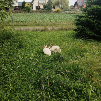 Tamira neues Zuhause 3