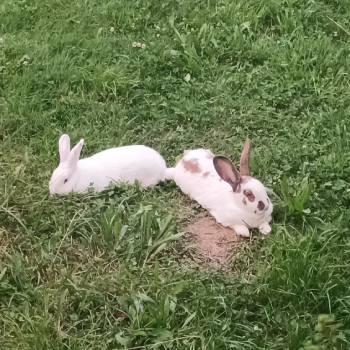 Tamira neues Zuhause 4