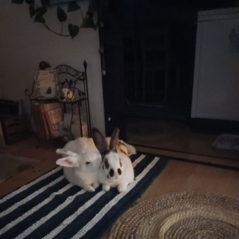 Tamira neues Zuhause 5